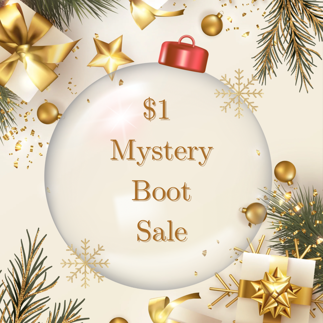 $1 Mystery Boot